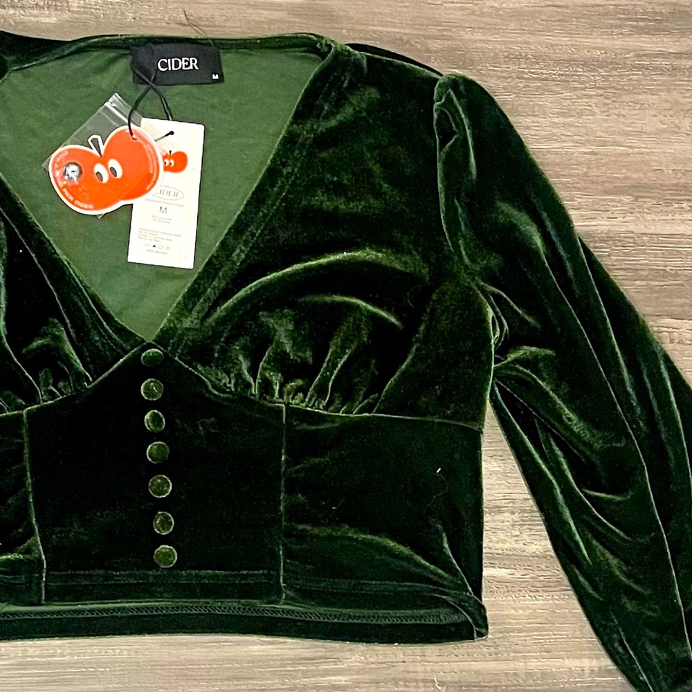 Stunning Green Velvet Blouse